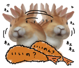 Unwind rabbit weather sticker #2998798