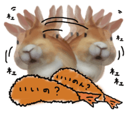 Unwind rabbit weather sticker #2998798