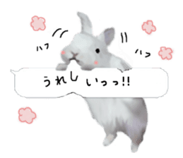 Unwind rabbit weather sticker #2998800