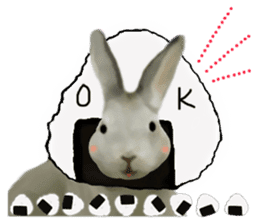 Unwind rabbit weather sticker #2998803