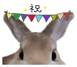 Unwind rabbit weather sticker #2998804