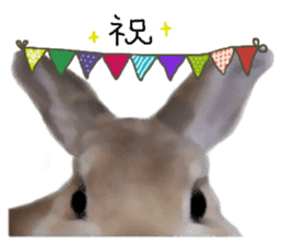 Unwind rabbit weather sticker #2998804