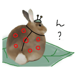 Unwind rabbit weather sticker #2998805