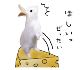 Unwind rabbit weather sticker #2998807