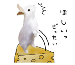 Unwind rabbit weather sticker #2998807