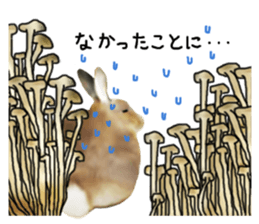 Unwind rabbit weather sticker #2998809