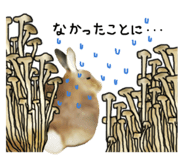 Unwind rabbit weather sticker #2998809