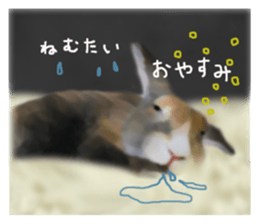 Unwind rabbit weather sticker #2998810