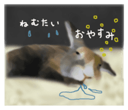 Unwind rabbit weather sticker #2998810