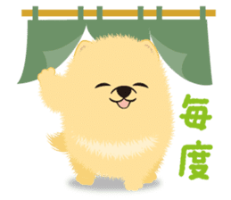 The tiny Pomeranian puppy 2 sticker #3000291