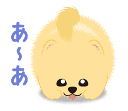 The tiny Pomeranian puppy 2 sticker #3000296