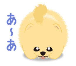The tiny Pomeranian puppy 2 sticker #3000296