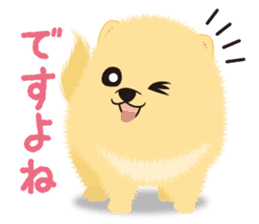 The tiny Pomeranian puppy 2 sticker #3000297