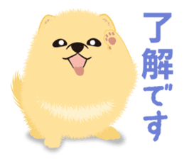 The tiny Pomeranian puppy 2 sticker #3000298