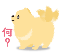 The tiny Pomeranian puppy 2 sticker #3000299