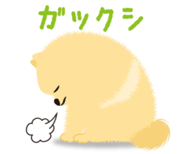 The tiny Pomeranian puppy 2 sticker #3000300