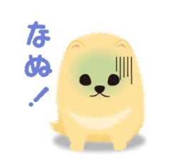 The tiny Pomeranian puppy 2 sticker #3000301