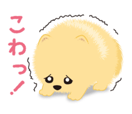 The tiny Pomeranian puppy 2 sticker #3000303