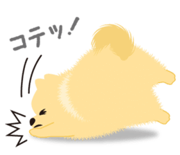 The tiny Pomeranian puppy 2 sticker #3000305