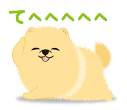 The tiny Pomeranian puppy 2 sticker #3000306