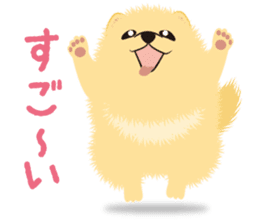 The tiny Pomeranian puppy 2 sticker #3000308