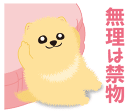 The tiny Pomeranian puppy 2 sticker #3000311