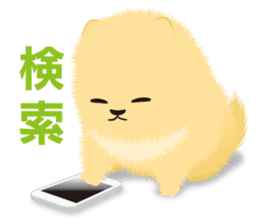 The tiny Pomeranian puppy 2 sticker #3000314