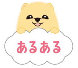 The tiny Pomeranian puppy 2 sticker #3000316