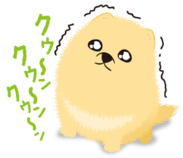 The tiny Pomeranian puppy 2 sticker #3000319