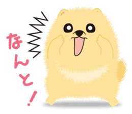 The tiny Pomeranian puppy 2 sticker #3000320