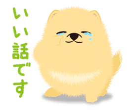The tiny Pomeranian puppy 2 sticker #3000324
