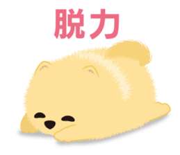 The tiny Pomeranian puppy 2 sticker #3000325