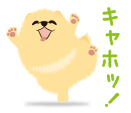 The tiny Pomeranian puppy 2 sticker #3000327