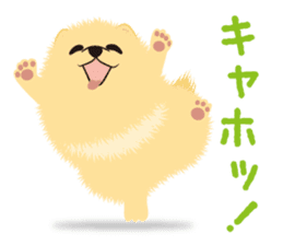 The tiny Pomeranian puppy 2 sticker #3000327