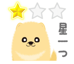 The tiny Pomeranian puppy 2 sticker #3000328