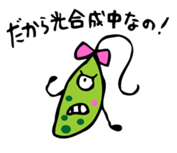 Mr. slipper animalcule and Miss.Euglena sticker #3004178