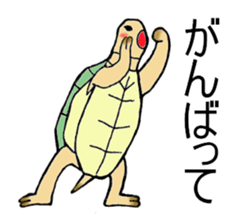 Umeko of turtle sticker #3006976