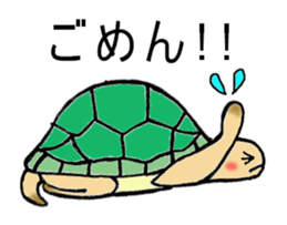 Umeko of turtle sticker #3006977