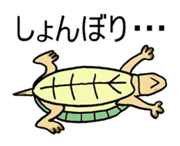 Umeko of turtle sticker #3006978