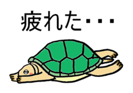 Umeko of turtle sticker #3006990