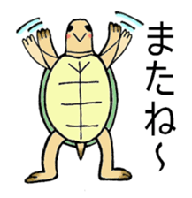Umeko of turtle sticker #3007000
