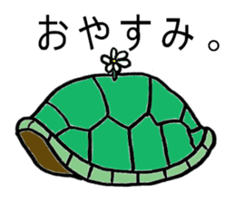 Umeko of turtle sticker #3007003