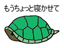Umeko of turtle sticker #3007004