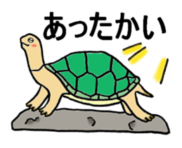 Umeko of turtle sticker #3007009