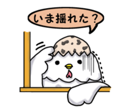 Letting the wind sticker #3007986