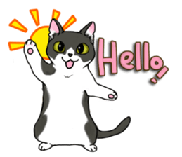 Cat theater MarineLand sticker #3008051