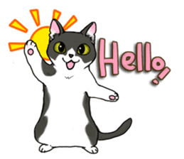 Cat theater MarineLand sticker #3008051