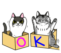 Cat theater MarineLand sticker #3008053