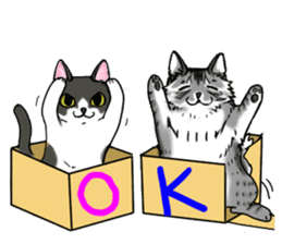 Cat theater MarineLand sticker #3008053