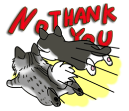 Cat theater MarineLand sticker #3008056